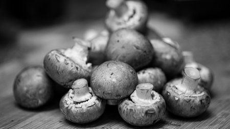 Fresh champignons on a wooden table. Black and white photo.の写真素材