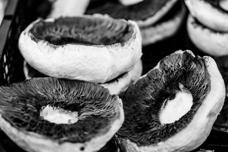 Black and white photo of dried mushrooms in the market. Close-up.の写真素材
