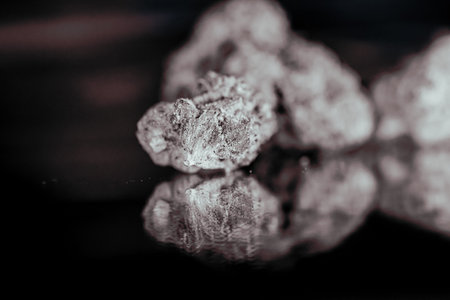 Close-up on a black background. Macro. Selective focus.の写真素材