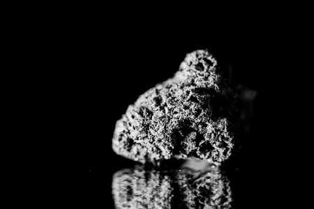 Black and white macro shot of dried buds. Selective focus.の写真素材