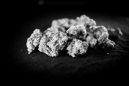 Close up of dried tobacco on a black background. Toned.