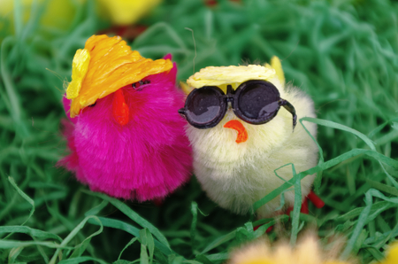 Easter hats with hat and sun glasses in pink and yellow in closeupの写真素材