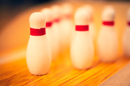 Crushed cones as a macroの写真素材