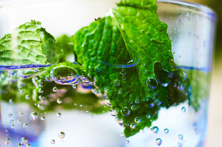 Glass with water bubbles and mint