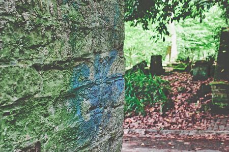 Broken tombstone with damage on a graveyard in greenの写真素材