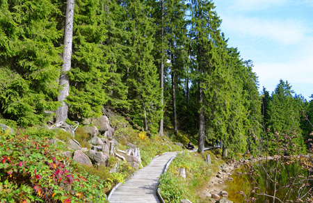 Mummelsee in the Black Forest near Achern in Baden-Wurttemberg Germany Europe with water and forest on the shore taken on 2017.09.29のeditorial素材