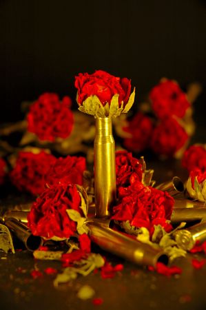 Rose bulletsの写真素材