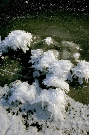 Ice crystals form near cracks in the ice