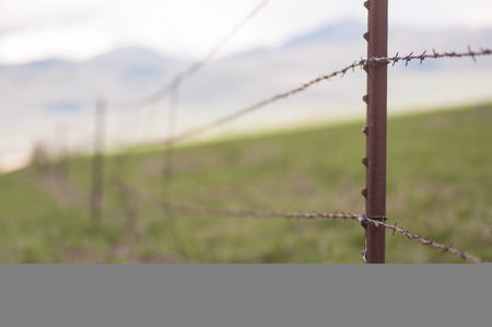 Barbed Wire Fenceの写真素材
