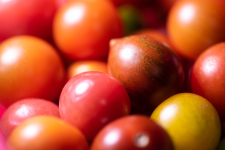 Several different cherry tomatos in various colors.の写真素材