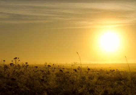 fog on the field in the morning at sunriceの写真素材