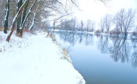 Traces on snow near the winter river