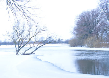 frozen winter river 