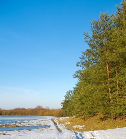Frozen river and trees in springの写真素材