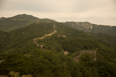 view of the great wall of china between lush forestの写真素材