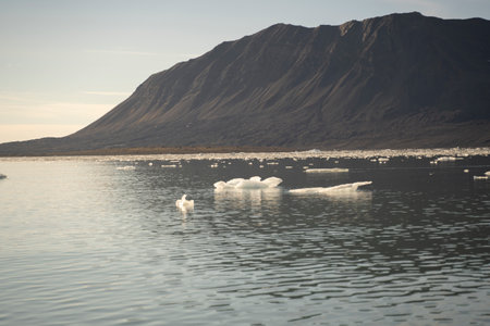 ice pieces floating in the water of the arctic ocean in Svalbard islands (Norway)の写真素材
