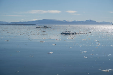 ice pieces floating in the water of the arctic ocean in Svalbard islands (Norway)の写真素材