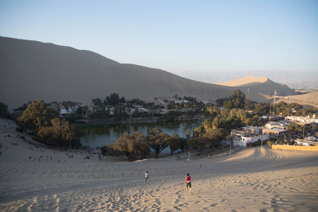 Green oasis in the dune desert of Ica in Peruの写真素材