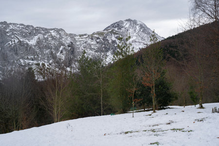 landscape view of a forest covered ins snow in winter in Urkiola Natural Park, basque country (spain)の写真素材