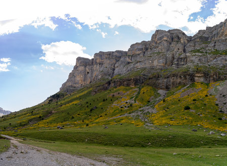 Mountain Canyon walls in the forests of Ordesa National Park in the Spanish Pyreneesの写真素材