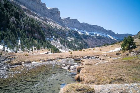 Landscape picture of a mountain creek of fresh water flowing in springの写真素材