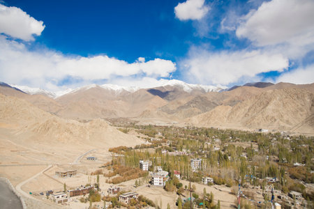 panoramical view of the city of Leh, capital of the reign of Ladakh in the Indian Himalayasの写真素材