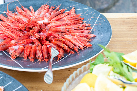 Italian cuisine with raw seafood appetizer and red prawns served in a blue plate during a lunch in a farm in Puglia, Italy.の写真素材