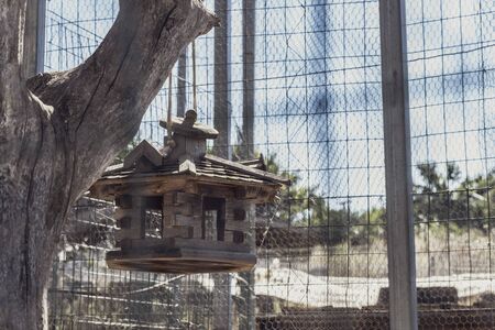 A Sunday in June on a farm in Puglia, a region of southern Italy. A wooden bird cage hanging from the branch of an old tree.の写真素材
