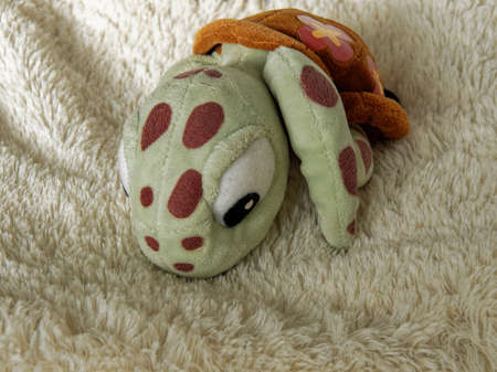 Children's toys for the home. A puppet in the shape of a colored turtle with big black eyes and a broad smile.の写真素材