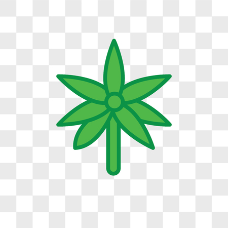 Palmatelly vector icon isolated on transparent background, Palmatelly logo conceptのイラスト素材