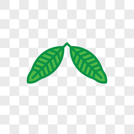 Lemon leaf vector icon isolated on transparent background, Lemon leaf logo conceptのイラスト素材