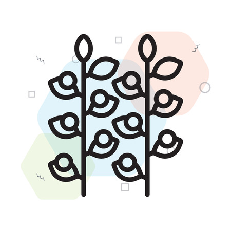 Grapevine icon vector isolated on white background for your web and mobile app design, Grapevine logo conceptのイラスト素材