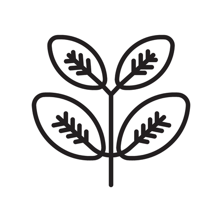 Black Willow icon vector isolated on white background for your web and mobile app design, Black Willow logo conceptのイラスト素材