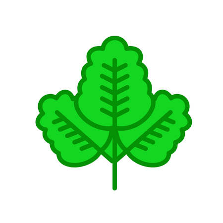 Leaf icon vector isolated on white background for your web and mobile app design, Leaf logo conceptのイラスト素材