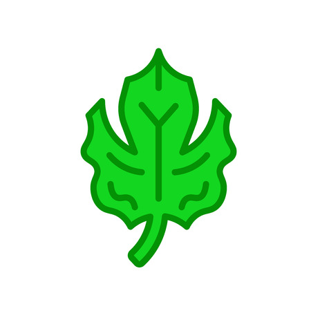 Leaf icon vector isolated on white background for your web and mobile app designのイラスト素材