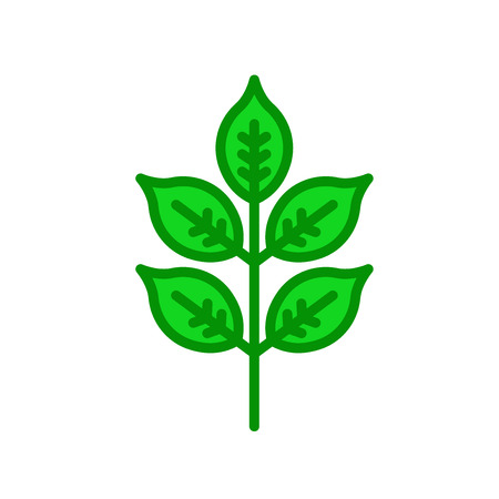Leaf icon vector isolated on white background for your web and mobile app designのイラスト素材