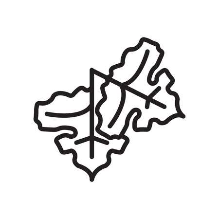 Grape leaf icon vector isolated on white background for your web and mobile app designのイラスト素材