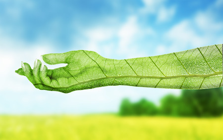 Eco concept. Hand of natureの写真素材