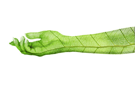 Eco concept. Hand of natureの写真素材