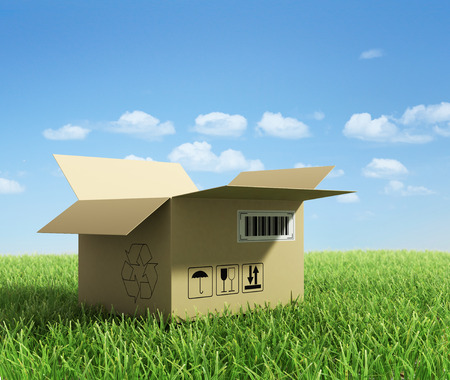 Opened box on green grass. Eco delivery concept.の写真素材
