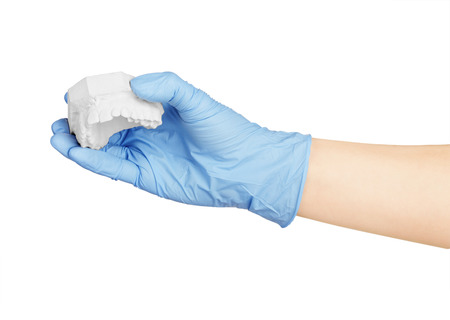 hand holding dental gypsum models dental conceptの写真素材