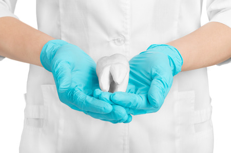hands holding tooth gypsum on a whiteの写真素材