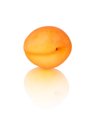 Apricot with reflection isolated on white backgroundの写真素材