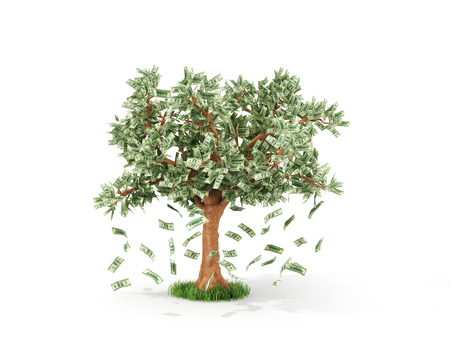 Business or savings concept of a money tree with growing dollar billsの写真素材