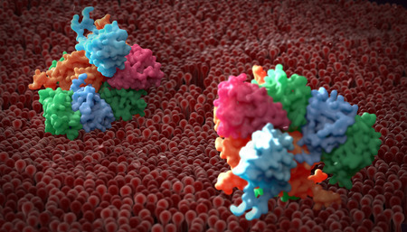 plasma membrane of a human cell. The plasma membrane is a bilayer composed of phopholipids in which lots of transmembrane and surface proteins resideの写真素材