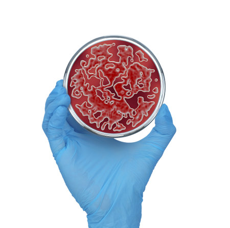 3D illustration, render.Bacteria colonies on petri dish in hand, isolated on white