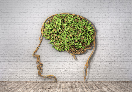 Concept of thinking. The green plant in form of human head with brain on a brick wall background and wood floor. Thought breaks out. 3d illustrationの写真素材