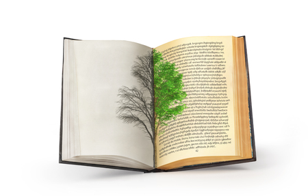 The concept of reading. Dual tree published in an open book. The concept of acquiring knowledge.の写真素材