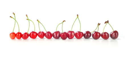 row of cherries isolated on white backgroundの写真素材