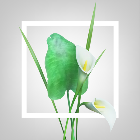 Creative layout made with flowers and frame. Spring minimal concept. Nature background.のイラスト素材